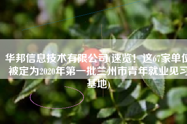 华邦信息技术有限公司(速览！这67家单位被定为2020年第一批兰州市青年就业见习基地)