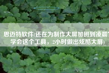 思迈特软件(还在为制作大屏加班到凌晨？学会这个工具，2小时做出炫酷大屏)