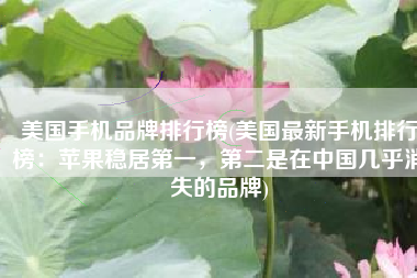 美国手机品牌排行榜(美国最新手机排行榜：苹果稳居第一，第二是在中国几乎消失的品牌)