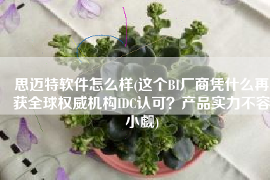 思迈特软件怎么样(这个BI厂商凭什么再获全球权威机构IDC认可？产品实力不容小觑)