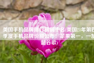 美国手机品牌排行榜前十名(美国21年第四季度手机品牌份额公布：苹果第一，一加超谷歌)