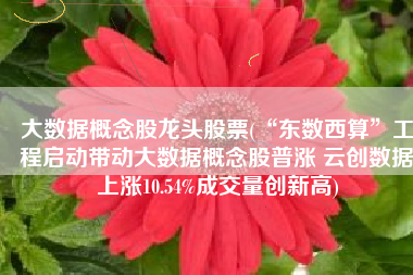 大数据概念股龙头股票(“东数西算”工程启动带动大数据概念股普涨 云创数据上涨10.54%成交量创新高)