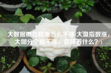 大数据概念股票怎么不涨(大盘指数涨，大部分个股不涨，意味着什么？)