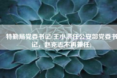 特勤局党委书记(王小洪任公安部党委书记，赵克志不再兼任)