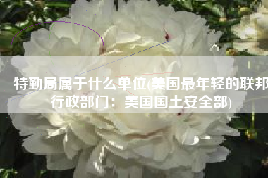 特勤局属于什么单位(美国最年轻的联邦行政部门：美国国土安全部)