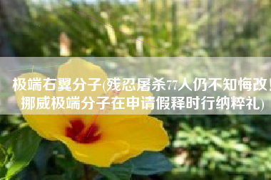 极端右翼分子(残忍屠杀77人仍不知悔改！挪威极端分子在申请假释时行纳粹礼)
