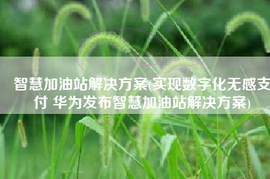 智慧加油站解决方案(实现数字化无感支付 华为发布智慧加油站解决方案)