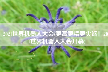 2021世界机器人大会(更高更精更尖端！2021世界机器人大会开幕)