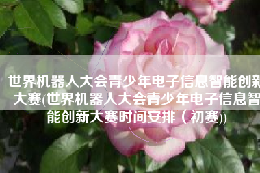 世界机器人大会青少年电子信息智能创新大赛(世界机器人大会青少年电子信息智能创新大赛时间安排（初赛))