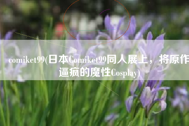 comiket99(日本Comiket99同人展上，将原作逼疯的魔性Cosplay)