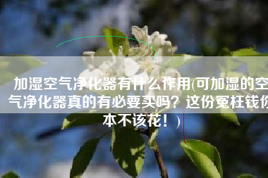 加湿空气净化器有什么作用(可加湿的空气净化器真的有必要买吗？这份冤枉钱你本不该花！)