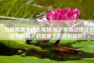 特勤局属于什么编制(保护美国总统安危的特勤局，到底是个怎样的组织？)