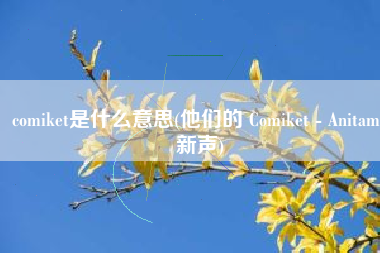 comiket是什么意思(他们的 Comiket - Anitama新声)
