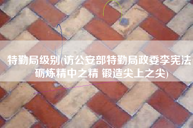 特勤局级别(访公安部特勤局政委李宪法：砺炼精中之精 锻造尖上之尖)