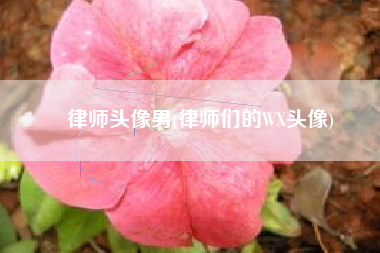 律师头像男(律师们的WX头像)