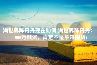 淘世界陈丹丹现在如何(淘世界陈丹丹： 3000万融资，肯定不是拿来囤货)