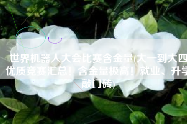 世界机器人大会比赛含金量(大一到大四优质竞赛汇总！含金量极高！就业、升学敲门砖)