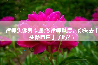 律师头像男卡通(做律师以后，你失去「头像自由」了吗？)