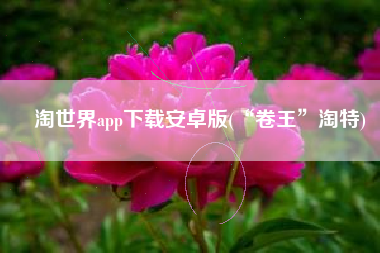 淘世界app下载安卓版(“卷王”淘特)