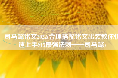 司马懿铭文2022(合理搭配铭文出装教你快速上手S13最强法刺——司马懿)