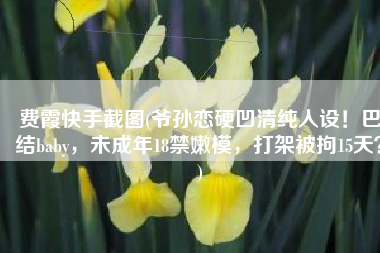 费霞快手截图(爷孙恋硬凹清纯人设！巴结baby，未成年18禁嫩模，打架被拘15天？)