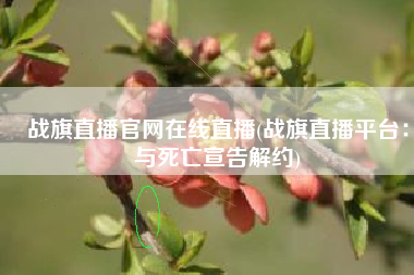 战旗直播官网在线直播(战旗直播平台：与死亡宣告解约)