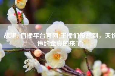战旗tv直播平台官网(主播们没想到，天价违约金真的来了)