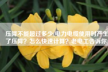 压降不能超过多少(电力电缆使用时产生了压降？怎么快速计算？老电工告诉你)