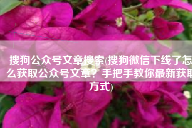 搜狗公众号文章搜索(搜狗微信下线了怎么获取公众号文章？手把手教你最新获取方式)