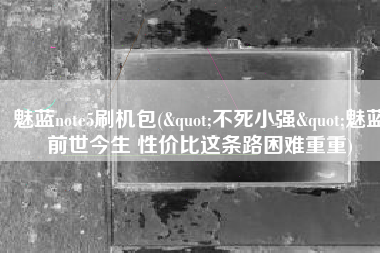 魅蓝note5刷机包("不死小强"魅蓝前世今生 性价比这条路困难重重)