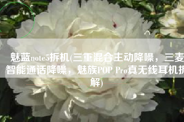 魅蓝note5拆机(三重混合主动降噪，三麦智能通话降噪，魅族POP Pro真无线耳机拆解)