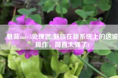 魅蓝note5处理器(魅族在新系统上的这波操作，简直太骚了)