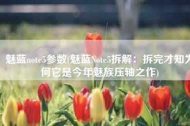 魅蓝note5参数(魅蓝Note5拆解：拆完才知为何它是今年魅族压轴之作)