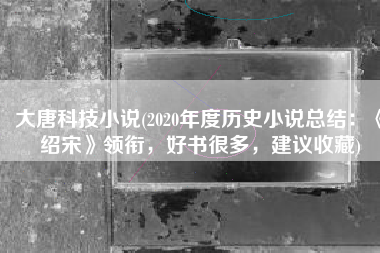 大唐科技小说(2020年度历史小说总结：《绍宋》领衔，好书很多，建议收藏)