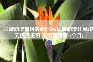长城动漫重组最新消息(长城动漫开展2亿元债务重组 重组宽限期24个月)