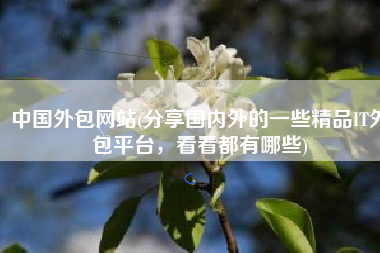 中国外包网站(分享国内外的一些精品IT外包平台，看看都有哪些)