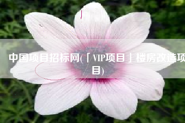 中国项目招标网(「VIP项目」楼房改造项目)