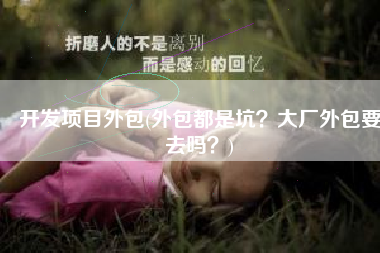 开发项目外包(外包都是坑？大厂外包要去吗？)