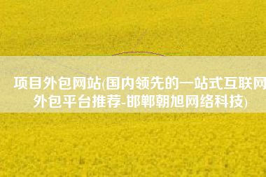 项目外包网站(国内领先的一站式互联网外包平台推荐-邯郸朝旭网络科技)