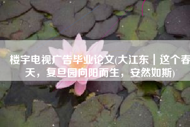 楼宇电视广告毕业论文(大江东｜这个春天，复旦园向阳而生，安然如斯)
