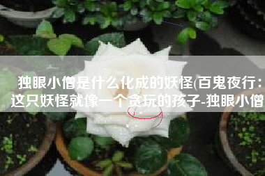 独眼小僧是什么化成的妖怪(百鬼夜行：这只妖怪就像一个贪玩的孩子-独眼小僧)