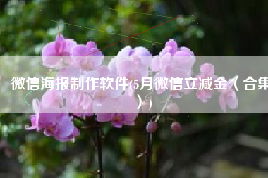 微信海报制作软件(5月微信立减金（合集）)