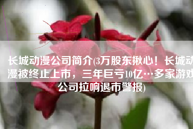 长城动漫公司简介(3万股东揪心！长城动漫被终止上市，三年巨亏10亿…多家游戏公司拉响退市警报)