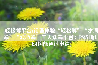 轻松筹平台(记者体验“轻松筹”“水滴筹”“爱心筹”三大众筹平台：PS诊断证明均能通过申请)