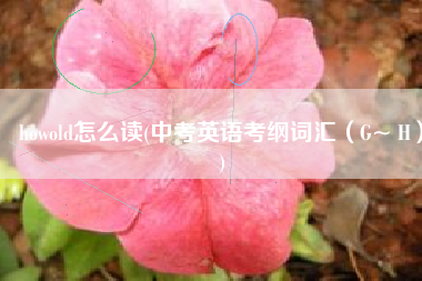 howold怎么读(中考英语考纲词汇（G~ H）)