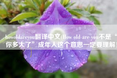 howoldareyou翻译中文(How old are you不是“你多大了”成年人这个意思一定要理解！)