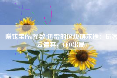 赚钱宝Pro参数(迅雷的区块链末途：玩客云遭弃，CEO出局)