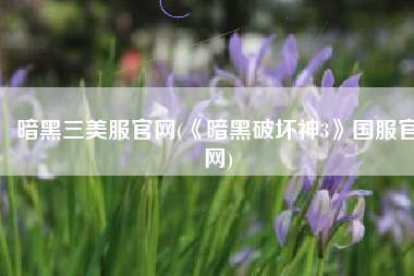 暗黑三美服官网(《暗黑破坏神3》国服官网)