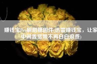 赚钱宝Pro刷甜糖固件(迅雷赚钱宝，让家中闲置宽带不再白白浪费)