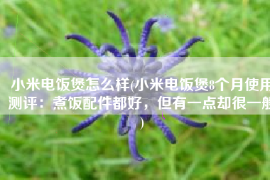 小米电饭煲怎么样(小米电饭煲8个月使用测评：煮饭配件都好，但有一点却很一般)